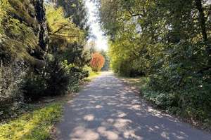 Property thumbnail 20