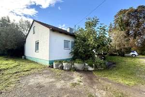 1a Lage in Günzburg! Ehem. Gärtnerei, 2 Wohnhäuser mit 5500m2 Grund mit großem Potenzial! – Die vollständige Adresse der Immobilie erhältst du vom Anbieter., 89312 Günzburg – Vorschaubild 8