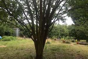 Stylisches Altbau-Juwel direkt am Tempelhofer Feld – Bezugsfreie 2-Zimmer-Oase – Die vollständige Adresse der Immobilie erhältst du vom Anbieter., 12099 Tempelhof, Berlin – Vorschaubild 9