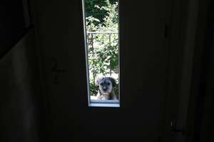 Property thumbnail 27