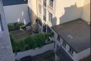 entkerntes Hinterhaus zur Selbstverwirklichung, Mietpreis verhandelbar – Friedrich-Ebert-Str. 159, 42117 Wuppertal – Vorschaubild 1