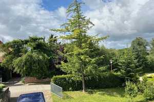 Sie träumen von einem eigenem Haus mit Garten? – Müritz (Kreis) – Vorschaubild 10