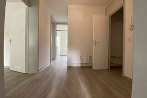 schöne 3-Zimmer-Wohnung mit großem Wohnzimmer und frisch renoviert – 44357 Westerfilde, Dortmund – Vorschaubild 7
