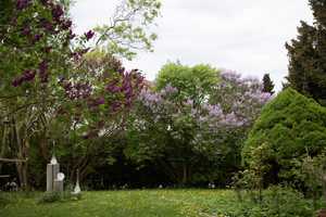 Großzügiges Wohlfühl-Haus mit wunderschönem Gartenidyll in Probstried – Oberallgäu (Kreis) – Vorschaubild 49