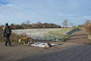 Property thumbnail 26