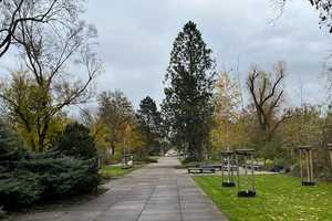 Property thumbnail 13