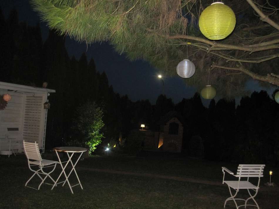 Garten bei Nacht