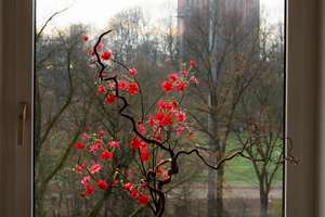 Property thumbnail 11