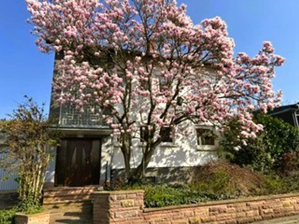 Immobilie in Nußloch - Geräumiges Einfamilienhaus mit 6 Zimmern und Garage in Nußloch - Bild 1