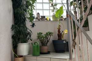 Ein gemütliches 2 Familienhaus - im beliebten Frauenstein – Wiesbaden – Vorschaubild 9