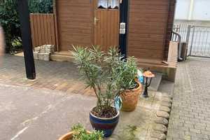Gepflegtes Einfamilienhaus mit Charme – Limburg-Weilburg (Kreis) – Vorschaubild 8