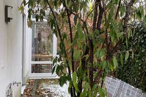Befristete Vermietung: Haus mit 3,5 Zimmern in München-Lochhausen – Die vollständige Adresse der Immobilie erhältst du vom Anbieter., 81249 Lochhausen, München – Vorschaubild 8