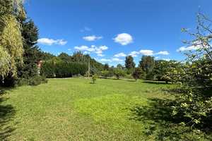 In Sommerfeld - Naturidyll vor den Toren Berlins - ca. 162 m² ländliches Wohnhaus mit eigenem Wald – Oberhavel (Kreis) – Vorschaubild 9