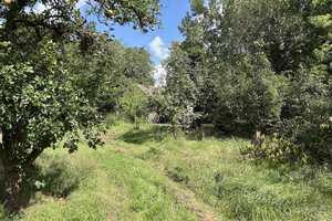 Ehemaliger Obsthof in Plessow – An der B1 13, 14542 Potsdam-Mittelmark (Kreis) – Vorschaubild 37