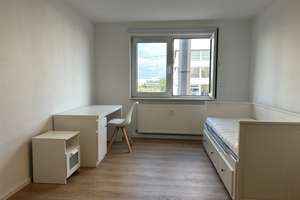 Moderne, frisch renovierte 1-Zimmer-Wohnung Nähe Hochschule – Neckarauer Straße 215, 68199 Neckarau, Mannheim – Vorschaubild 2