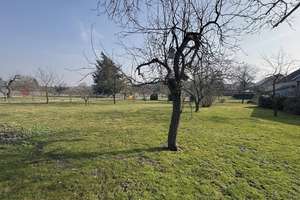 Viel Platz & großer Garten – Die vollständige Adresse der Immobilie erhältst du vom Anbieter., 19376 Suckow – Vorschaubild 39