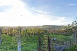 Einfamilienhaus mit großem Garten am Weinberg in unverbaubarer Aussichtslage – Die vollständige Adresse der Immobilie erhältst du vom Anbieter., 70378 Steinhaldenfeld, Stuttgart – Vorschaubild 30