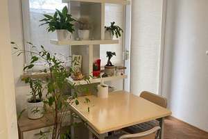 Modernisierte 1-Zimmer-Wohnung im EG. mit Terrasse und TG an Dianaplatz – Heisterstraße 20, 90441 Werderau, Nürnberg – Vorschaubild 52