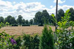 Erdgeschosswohnung mit Garten und Terrasse in traumhafter, naturnaher Wohnlage – Die vollständige Adresse der Immobilie erhältst du vom Anbieter., 45739 Oer-Erkenschwick – Vorschaubild 13