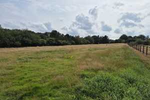 Herrliches Anwesen mit Pferdestall, Reitplatz und Wiesen in ruhiger Lage – Oldenburg (Kreis) – Vorschaubild 26