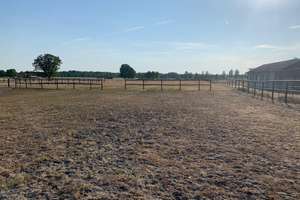 Pferdeimmobilie im Wendland-Neuwertiges Wohnhaus, Reithalle, Stallungen & ca. 3 ha Land in Prezelle – Die vollständige Adresse der Immobilie erhältst du vom Anbieter., 29491 Prezelle – Vorschaubild 17