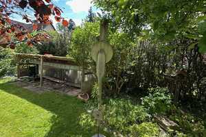 *** Charmantes Zuhause mit Holzofen, Garage, Wintergarten und vieles mehr *** – Harburg (Kreis) – Vorschaubild 34