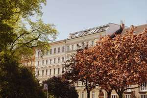 Ruhige Altbauwohnung im Winsviertel mit loftartiger Atmosphäre – Christburger Strasse 48, 10405 Prenzlauer Berg, Berlin – Vorschaubild 15