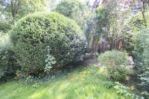 *NEUER PREIS* Bezugsfrei: Gepflegtes 4-Zi.-Reihenmittelhaus mit Tiefgarage und Garten in Nikolassee! – Die vollständige Adresse der Immobilie erhältst du vom Anbieter., 14129 Nikolassee, Berlin – Vorschaubild 15