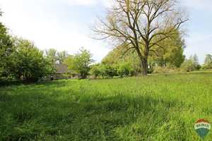 Perle in absoluter Alleinlage ! Traumgrundstück ! – Bedburg-Hau, Kleve (Kreis), 47551 Kleve (Kreis) – Vorschaubild 86