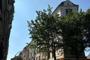 Von privat! Seltene Gründerzeit Juwelen ETW. in begehrter Lage Zentrum von Hamburg-Neustadt – Pilatuspool 1, 20355 Neustadt, Hamburg – Vorschaubild 22