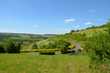 Unverbaubare Panorama-Blicklage in ruhiger Höhenlage: Modernes Pultdachhaus mit Grundstück!