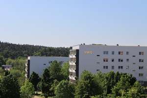 Schick renoviert- nah der Heide- ab sofort verfügbar – Eichelweg 5, 6120 Heide-Nord/Blumenau, Halle (Saale) – Vorschaubild 6