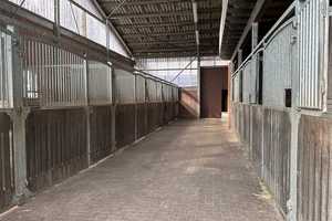 Reitanlage mit 40er Halle auf 7,3 ha zu verkaufen – Coesfeld (Kreis) – Vorschaubild 3