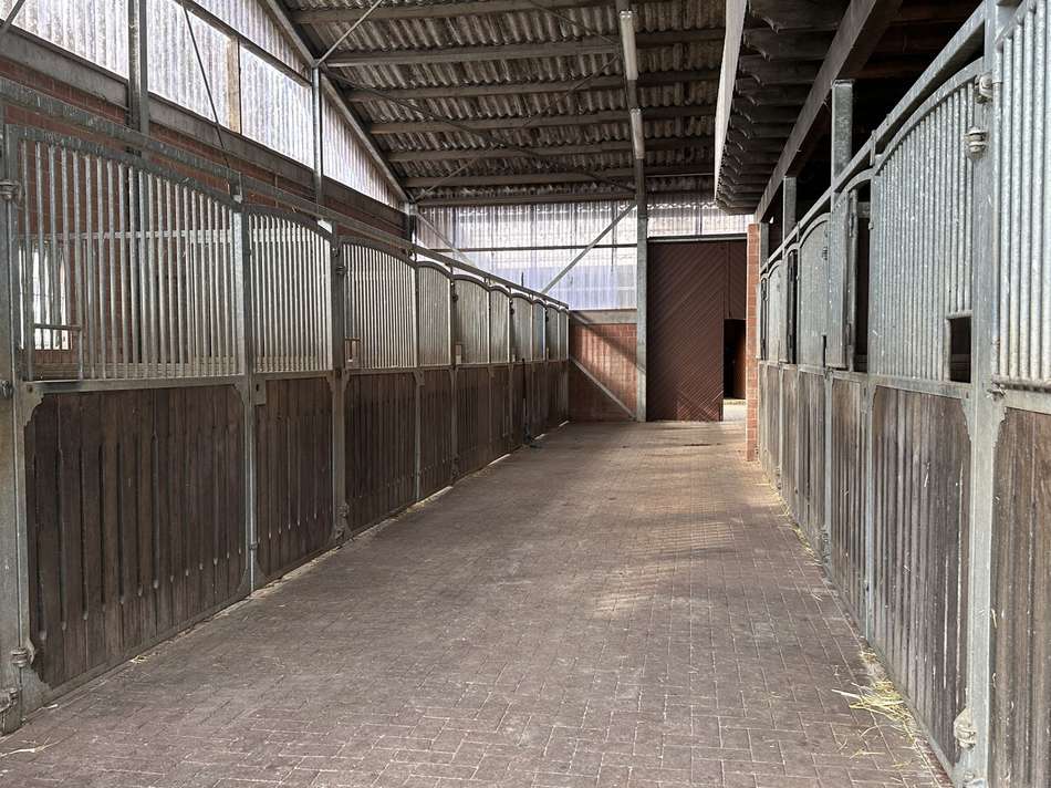 Boxengasse Halle