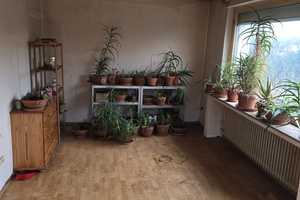 Zweifamilienhaus in Goltern - Barsinghausen ***Preis VB*** – Hannover (Kreis) – Vorschaubild 23