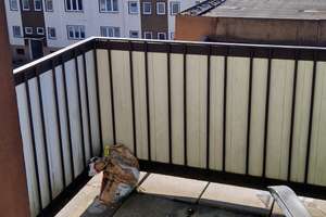 Moderne 2-Zimmer Dachgeschosswohnung mit schönem Fernblick  und Terrasse  – Parksiedlung 22, 42389 Langerfeld-Beyenburg, Wuppertal – Vorschaubild 3