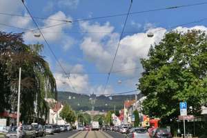 Helle 2 ZKB-Altbau-Wohnung in Kassel-Wilhelmshöhe sucht neuen Mieter – Wilhelmshöher Allee 278, 34131 Bad Wilhelmshöhe, Kassel – Vorschaubild 22