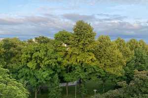 kleine Wohnung am Schloss Jägerhof  – Düsseldorf – Vorschaubild 1