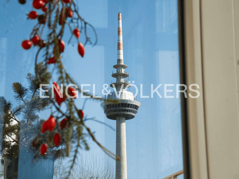 Fernblick durch die Fenster...