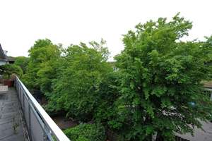 Sonnige, elegante 4 Raum DG Wohnung mit umlaufender Terrasse! Neuhausen Nymphenburg! – Nibelungenstraße 55d, 80639 Nymphenburg, München – Vorschaubild 7