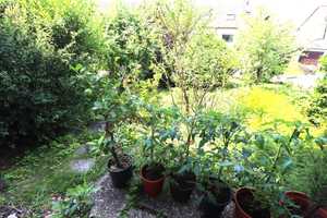 *Einfamilienhaus in bester Lage mit Einliegerwohnung* – Rems-Murr-Kreis – Vorschaubild 20