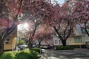 Freundliche 2-Zimmer-Wohnung in Dortmund, Unionviertel, Nähe Westpark – Barmer Straße 24, 44137 Dortmund – Vorschaubild 18