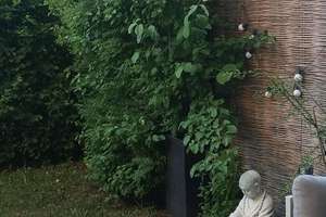 Familientraum mit Garten am – Die vollständige Adresse der Immobilie erhältst du vom Anbieter., 81827 Waldtrudering, München – Vorschaubild 5