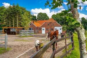 Top Angebot - Pferdehof mit Reitplatz, Halle, Scheune und Landhaus – Aurich (Kreis) – Vorschaubild 6
