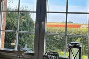 Für Naturliebhaber in Eider- und Nordseenähe ! Einfamilienhaus mit viel Platz für Zwei- und Vierbein – Dithmarschen (Kreis) – Vorschaubild 13