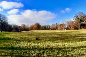 Property thumbnail 38