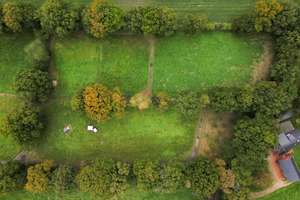 Modernisierter Resthof mit rund 2,1 Hektar warten auf Naturliebhaber und Tierfreunde – Die vollständige Adresse der Immobilie erhältst du vom Anbieter., 26629 Großefehn – Vorschaubild 29