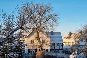 Wohnkomfort trifft Naturidylle in Hennef-Adscheid – Die vollständige Adresse der Immobilie erhältst du vom Anbieter., 53773 Hennef (Sieg) – Vorschaubild 16