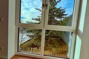Neubau/ Erstbezug im Loftstil/ Fertig gestellt! Exklusives Architektenhaus in Wuppertal Ronsdorf! – Die vollständige Adresse der Immobilie erhältst du vom Anbieter., 42369 Ronsdorf, Wuppertal – Vorschaubild 31