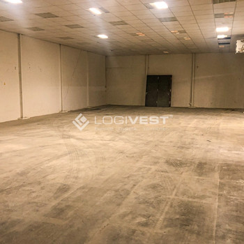 Lagerhalle mit vorhandener Regalierung in verkehrsgünstiger Lage